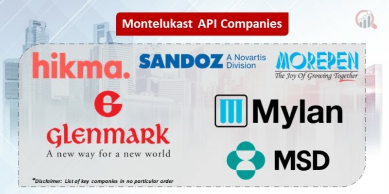 Montelukast API Key Companies