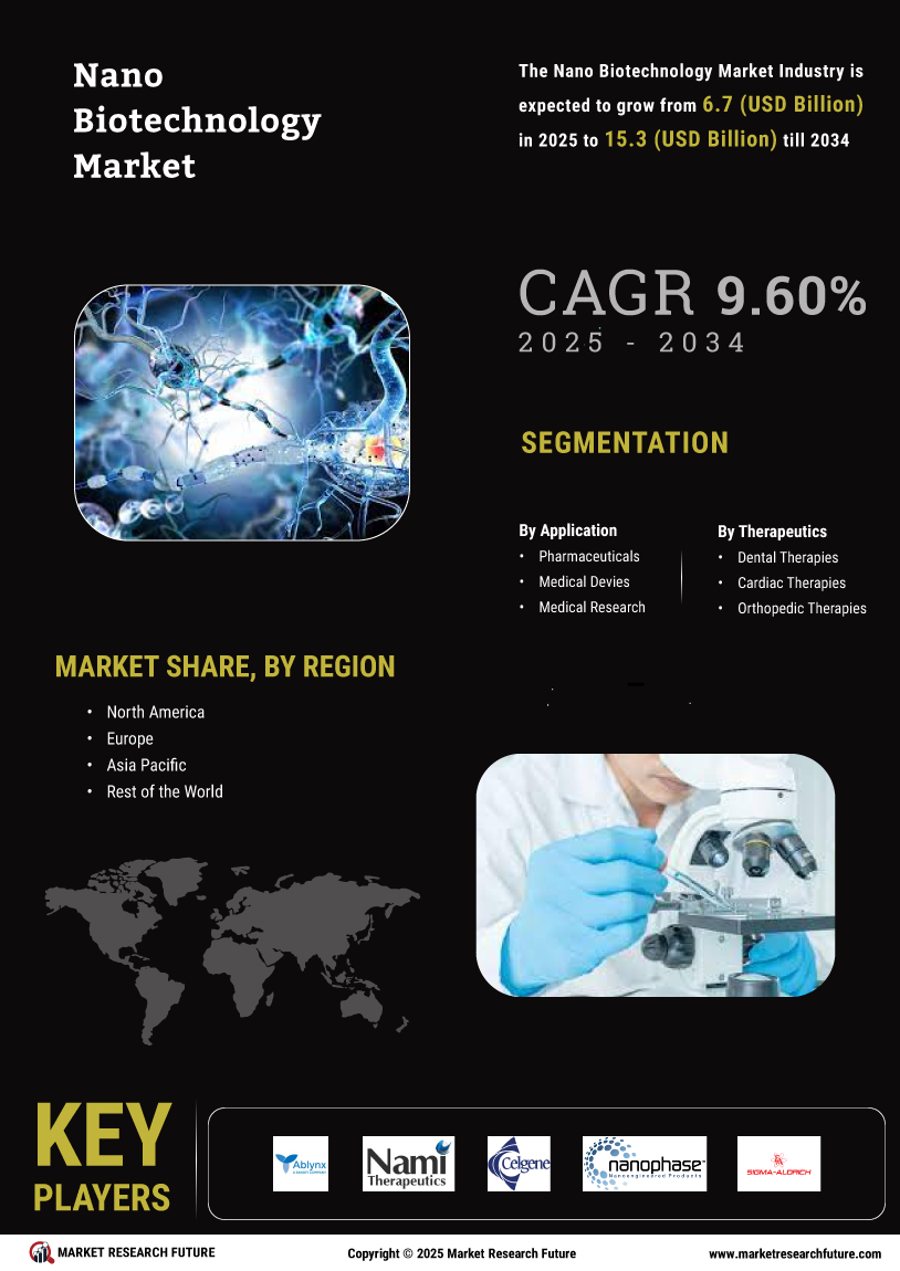 Nano Biotechnology Market