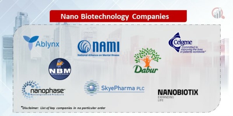 Nano Biotechnology Market