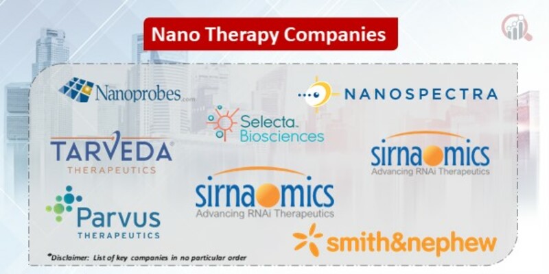 Nano Therapy Key Companies