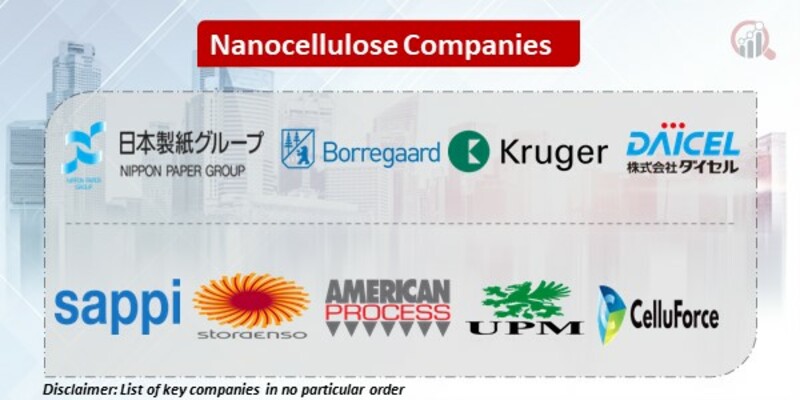 Nanocellulose Key Companies