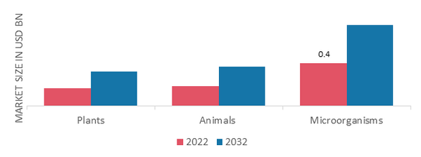 Natural Antimicrobials Market, by Source, 2022 & 2032