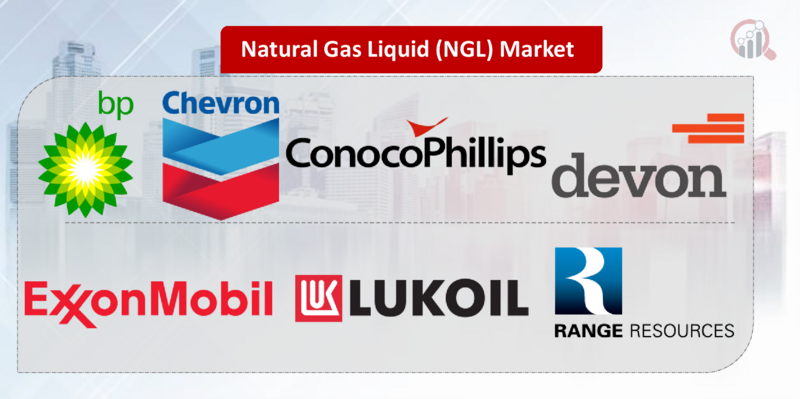 Natural Gas Liquid (NGL) Key Company