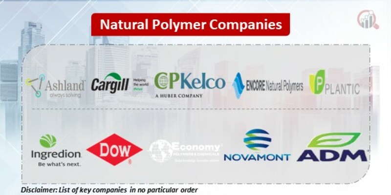 Natural Polymer Key Companies