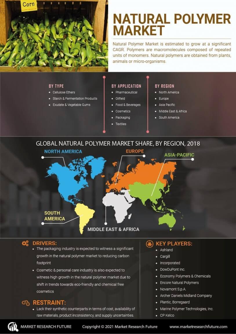 Natural Polymer Market