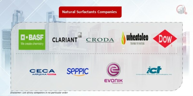 Natural Surfactants Key Companies