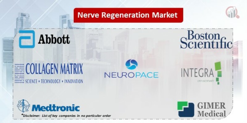 Nerve Regeneration key companies