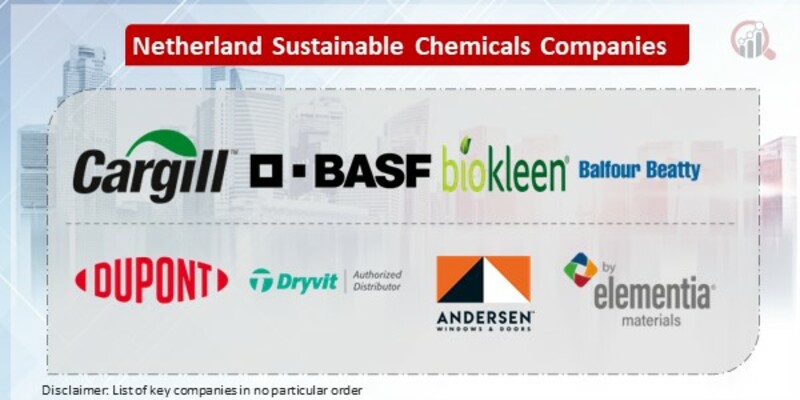 Netherlands Sustainable Chemicals Key Companies