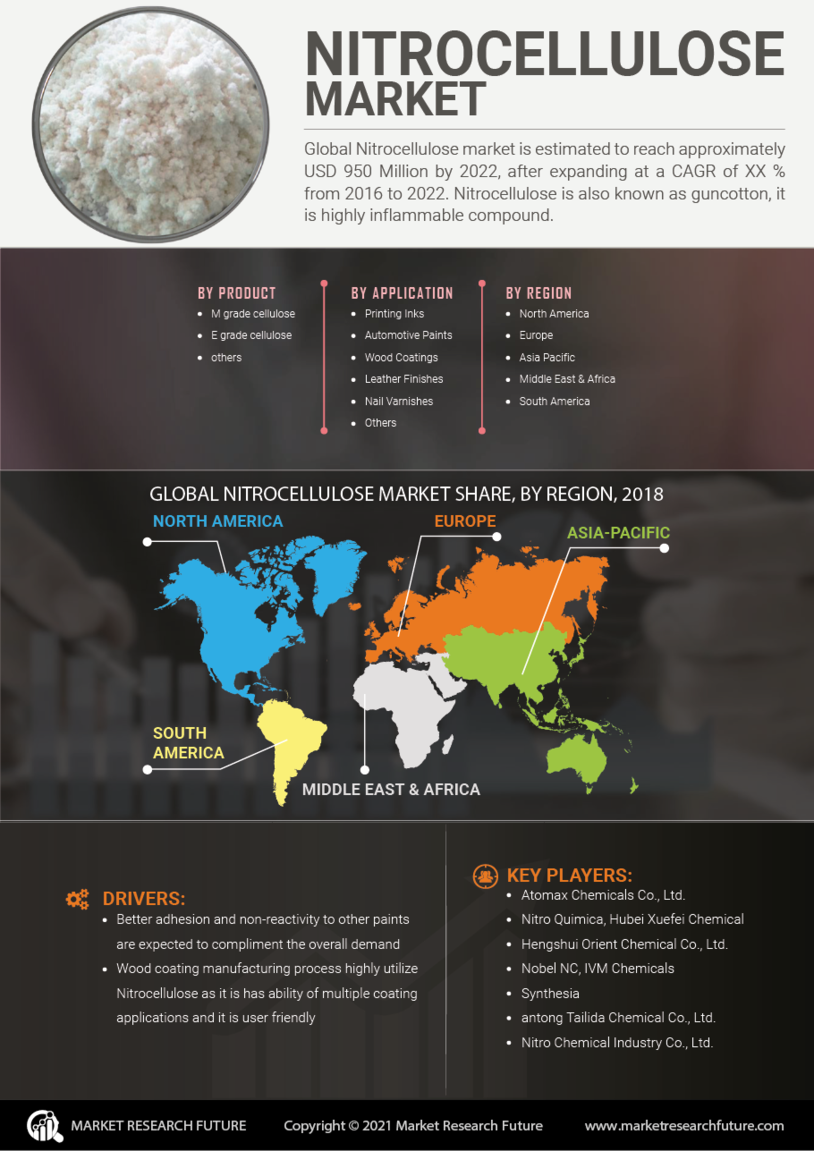 Nitrocellulose Market