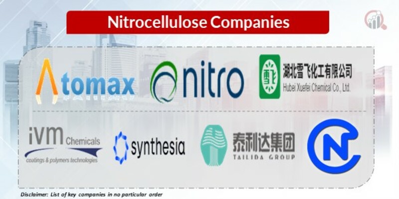 Nitrocellulose Key Companies