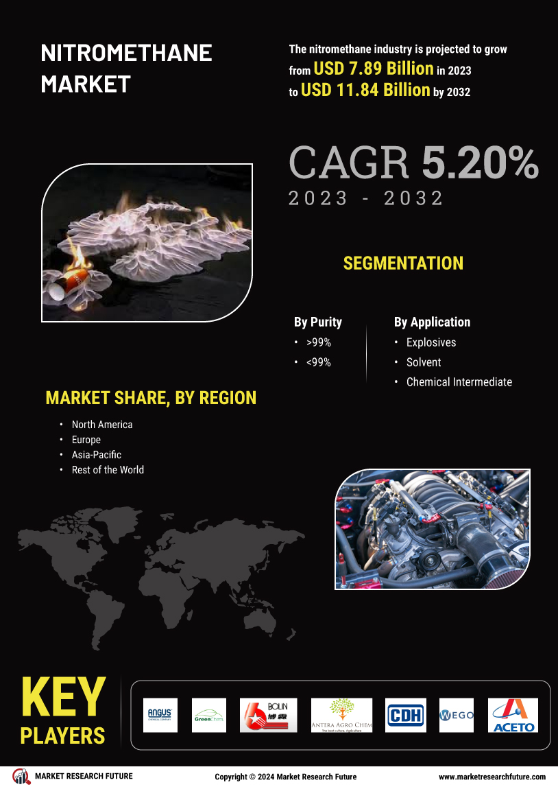 Nitromethane Market
