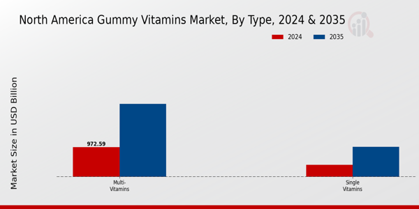North America Gummy Vitamins Market Segment
