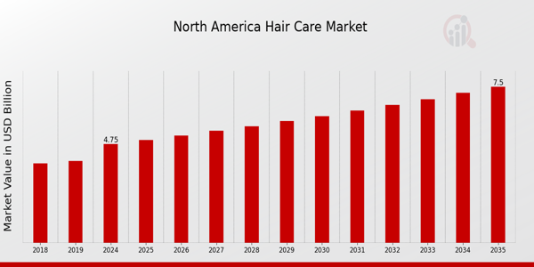 North America Hair Care Market size
