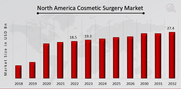 North America Cosmetic Surgery Market Overview