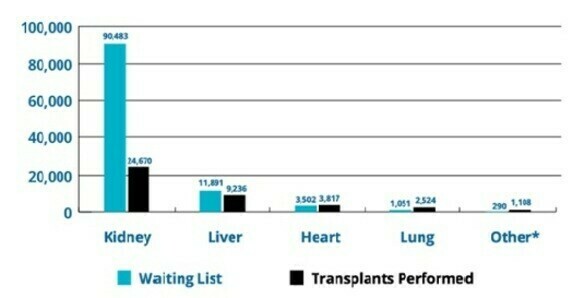 Number of transplantation