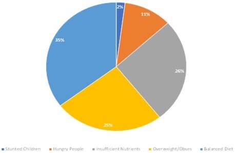 Nutritional divides of the  population