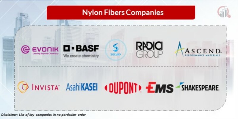 Nylon fibers Key Players