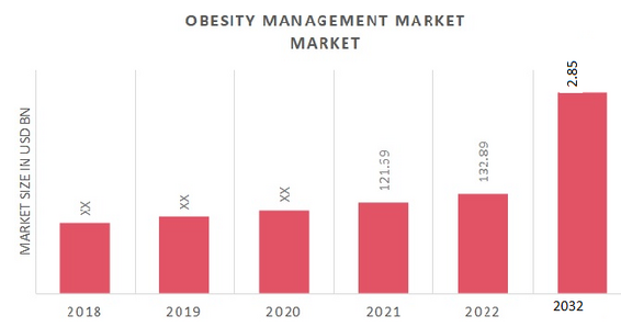 Obesity Management Market Overview