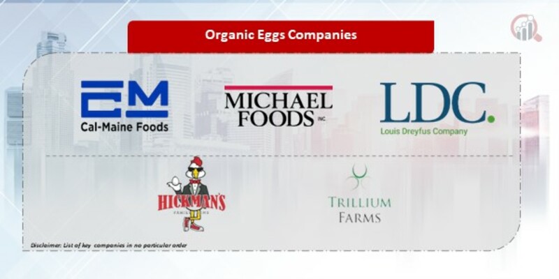 Organic Eggs Company