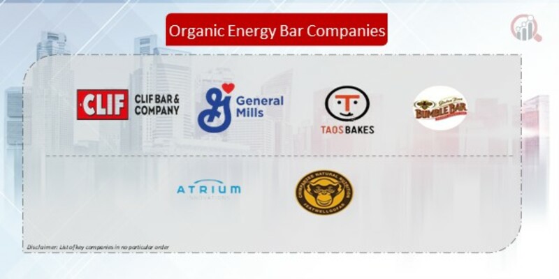 Organic Energy Bar Company