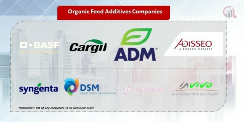 Organic Feed Additives Companies