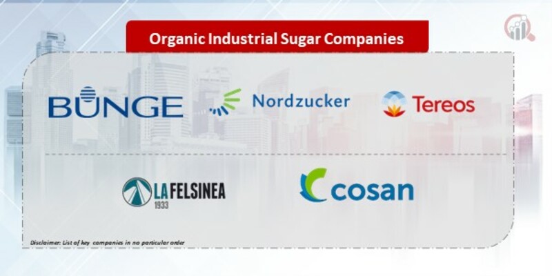 Organic Industrial Sugar Companies