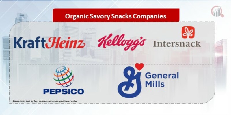 Organic Savory Snacks Companies