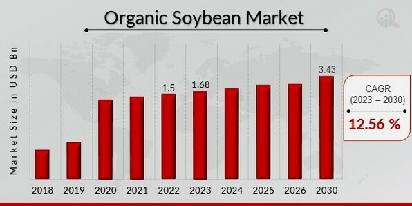 Organic Soybean Market