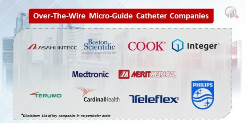 Over-The-Wire Micro-Guide Catheter Key Companies