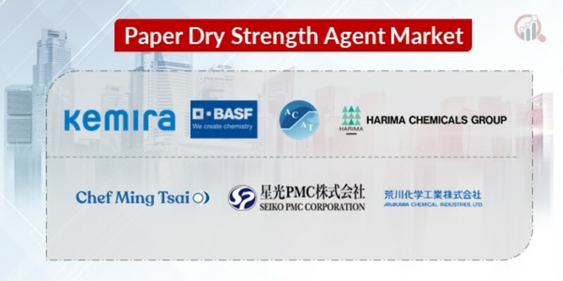 Paper Dry Strength Agent Key Companies