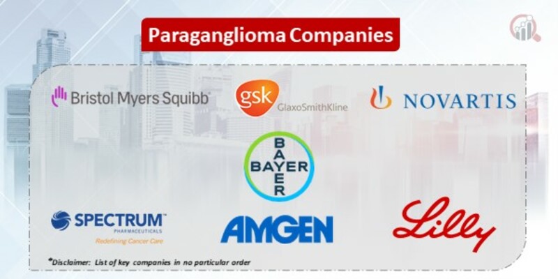 Paraganglioma Key Companies