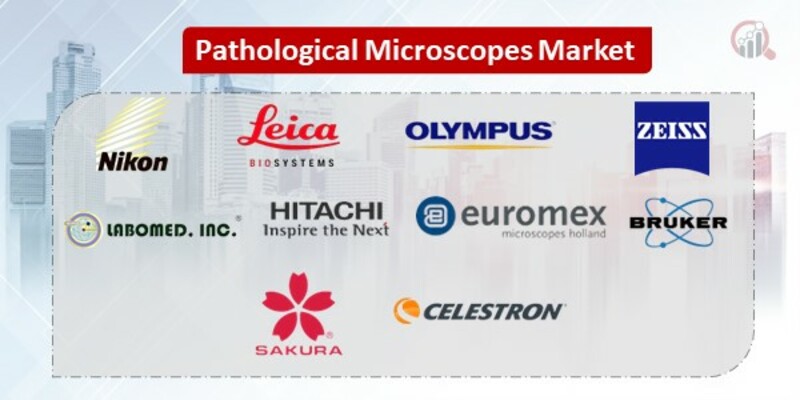 Pathological Microscopes Key Companies.jpg