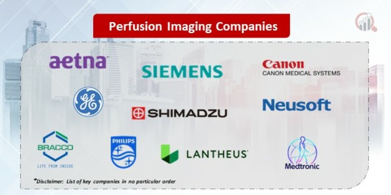 Perfusion Imaging Key Companies