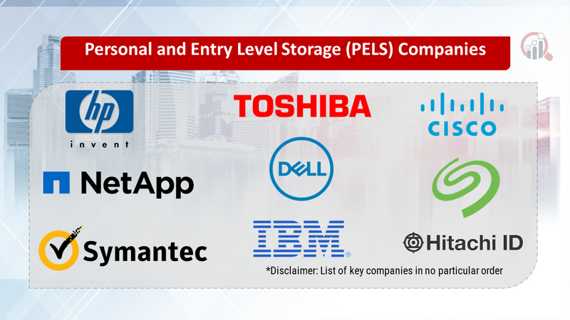 Personal and Entry Level Storage (PELS) Companies 