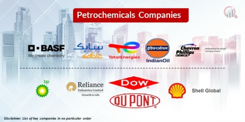  Petrochemicals Key Companies