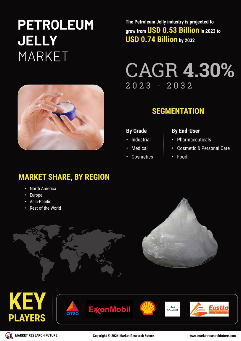 Petroleum Jelly Market
