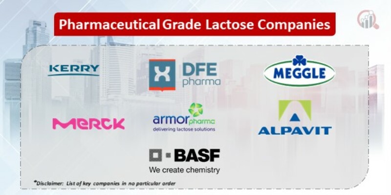 Pharmaceutical Grade Lactose Key Companies
