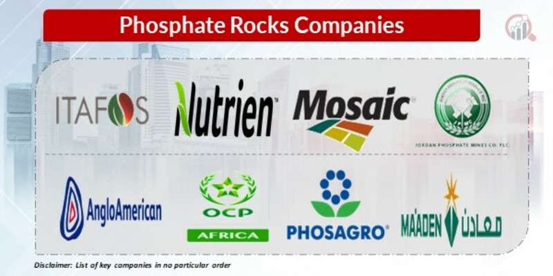 Phosphate Rocks Key Companies