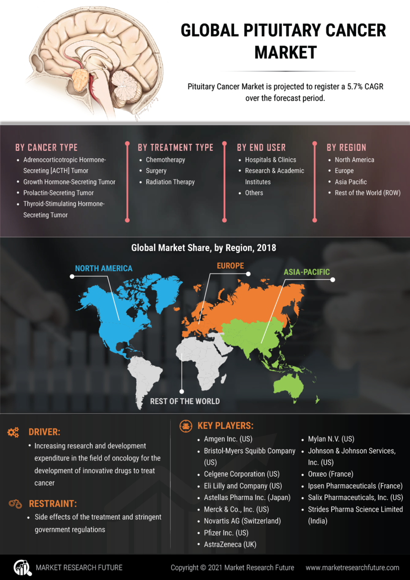 Pituitary Cancer Market