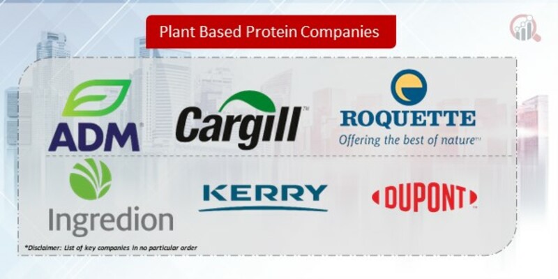 Plant Based Protein Companies