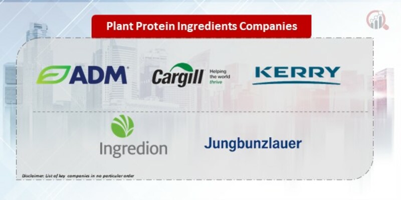 Plant Protein Ingredients Companies