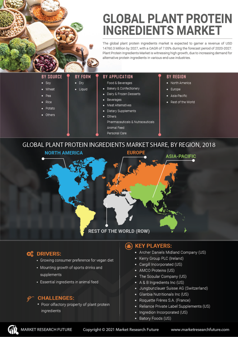 Plant Protein Ingredients Market