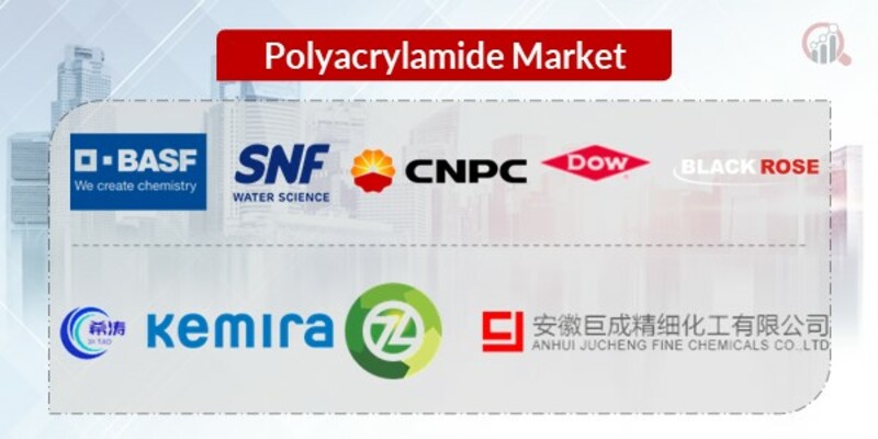 Polyacrylamide Key Companies