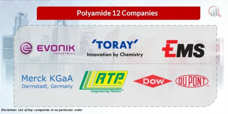 Polyamide 12 Key Companies