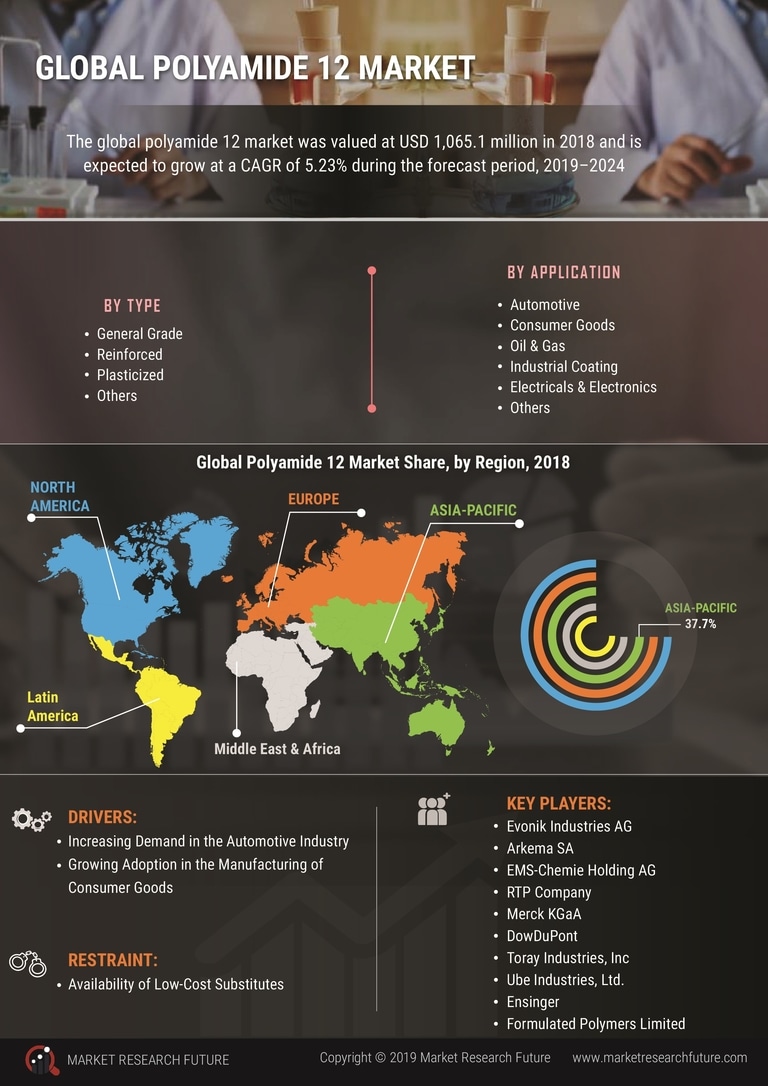 Polyamide 12 Market 