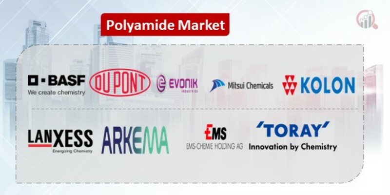 Polyamides Key Companies 