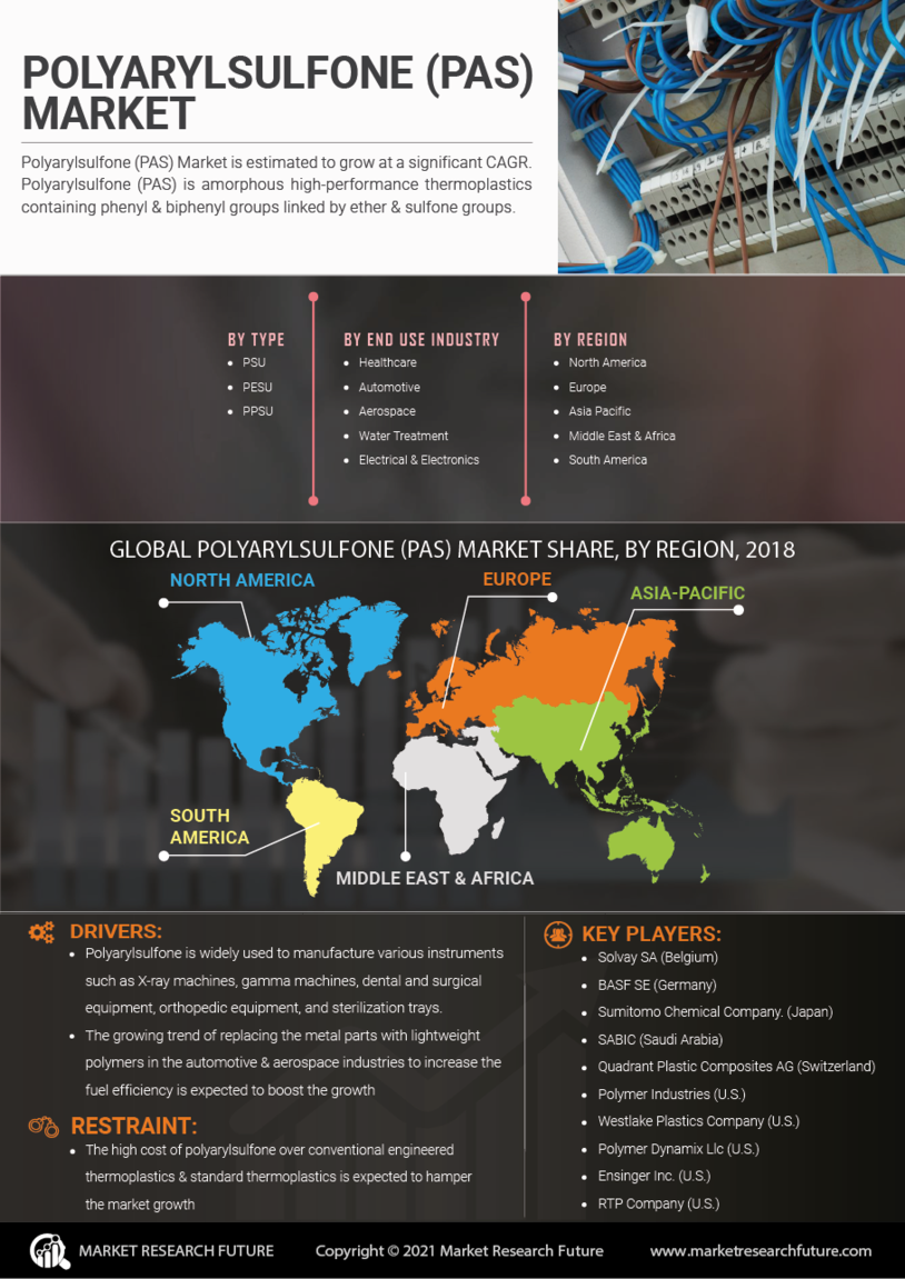 Polyarylsulfone Market