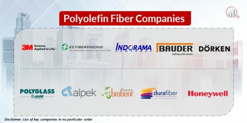 Polyolefin Fiber Key Companies