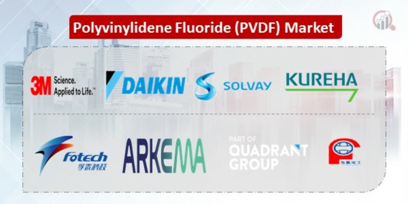 Polyvinylidene Fluoride (PVDF) Key Companies