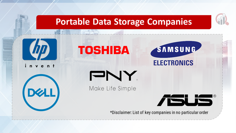 Portable Data Storage Companies